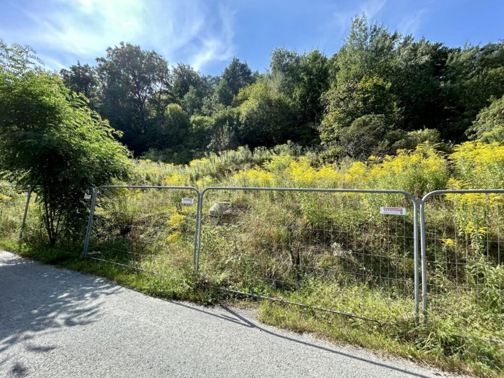 Baugrundstück Reinerweg 21 mit Wohnbauprojekt – Gültigkeit der Baubewilligung in Klärung – Bild 2